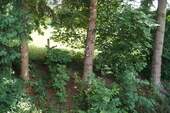 Ausblick vom Schlafzimmer - 
