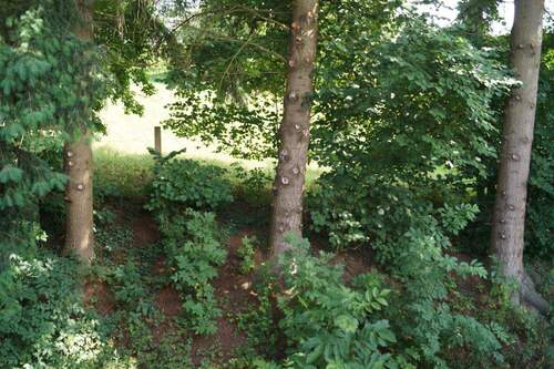 Ausblick vom Schlafzimmer - 