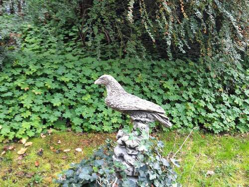 Adler - Grundstück zum Kaufen in Würzburg