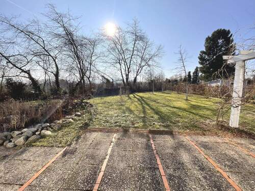 Blick in den Garten - 