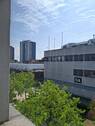 Ausblick - 