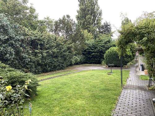 Bild6 - 