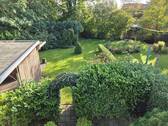 Blick in den Garten - 