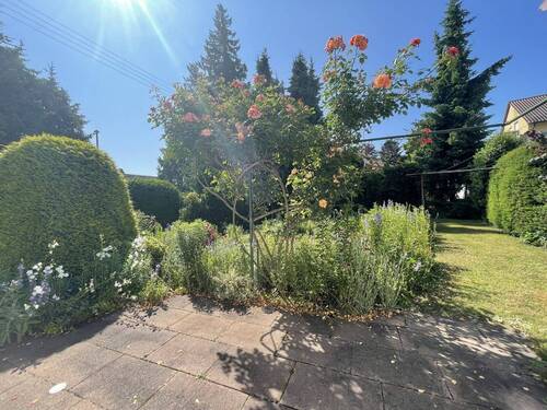 Blick in den Garten 1-1 - 