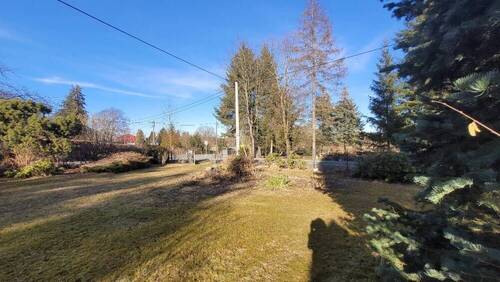 vorderer Grundstücksbereich - 