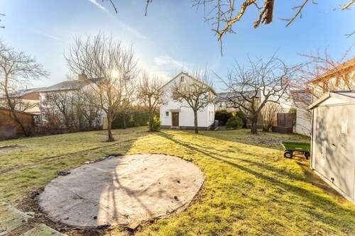 Garten mit Obstbäumen - 