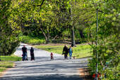 Viktoriapark - 