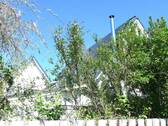Vorderhaus mit Anbau - 6 Zimmer Einfamilienhaus zum Kaufen in Hemdingen