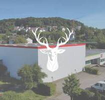Flexible Lager- und Werkflächen in zentraler Lage von Tiengen zu vermieten - Waldshut-Tiengen