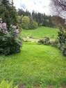 Wiesenfläche - 