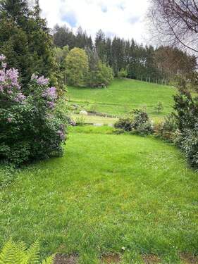 Wiesenfläche - 