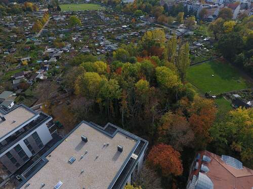 Blick in den Auenwald - 5 Zimmer Etagenwohnung zum Kaufen in Leipzig