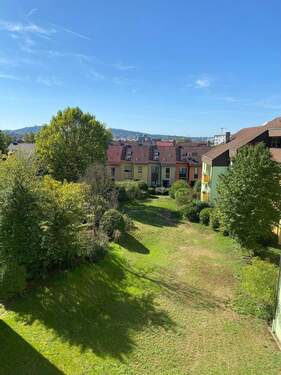 IMG-20250919-WA0018.jpg - 