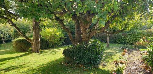 Bild 4 - Doppelhaushälfte mit 103,00 m&sup2; in Müllheim zum Kaufen