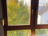 Dachfenster - 