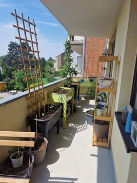 Balkon - Topgepflegte Wohnung für max. 2 Personen !
