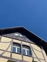 IMG_2239.jpeg - 