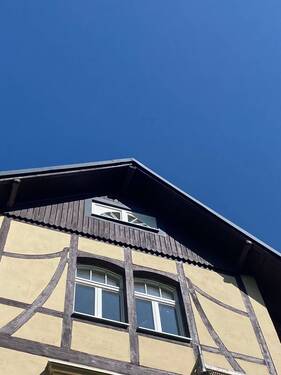 IMG_2239.jpeg - 