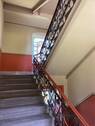 IMG_2151.jpeg - 