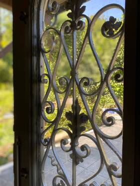 IMG_2154.jpeg - 