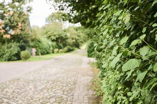 Charakter der Straße - 