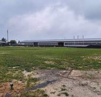 Neuer Unternehmensstandort gesucht? Attraktives Gewerbegrundstück mit sehr guter Verkehrsanbindung in zentraler Lage von Stralsund zu verkaufen