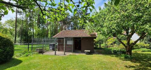 Bild 4 - Einfamilienhaus mit 160,00 m² in Neustadt am Rübenberge OT Esperke zum Kaufen