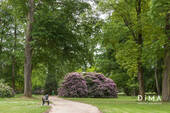 Schmölderpark - 