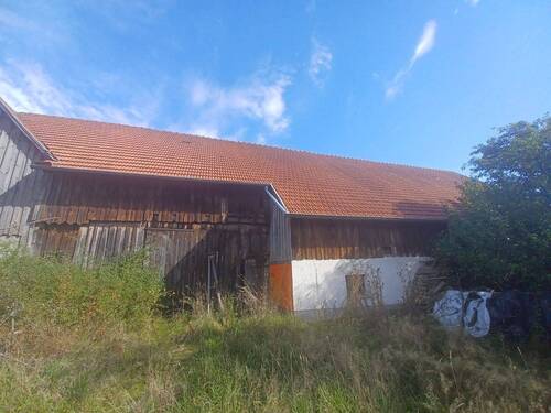 Stallung - 