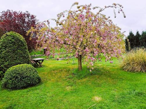 Ausschnitt Gartenbereich - Grundstück zum Kaufen in Nordwestmecklenburg - Landkreis - Dassow