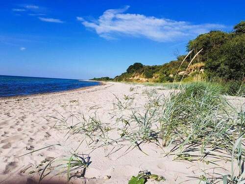 Nahe Strände - Grundstück in Nordwestmecklenburg - Landkreis - Dassow zum Kaufen