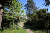 Grundstücksansicht - Grundstück in Borsdorf / Panitzsch