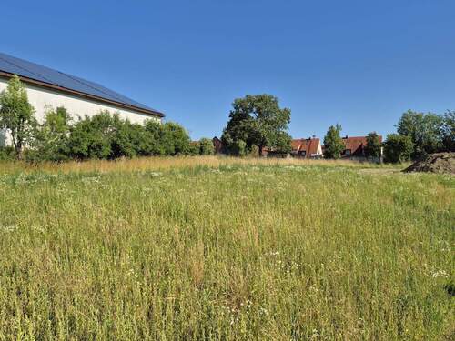 Blick auf Baugrundstück - Grundstück in Haimhausen