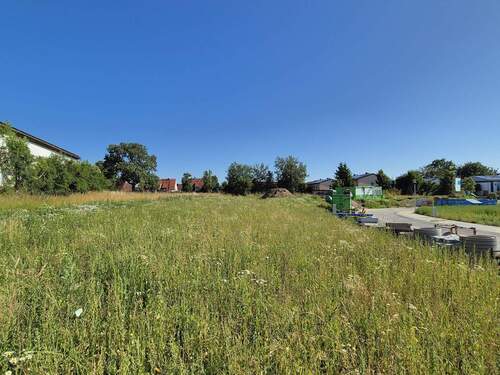 Blick auf Baugrundstück - Grundstück in Haimhausen zum Kaufen