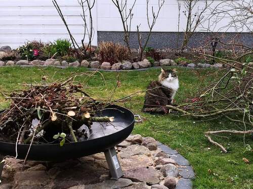 Feuerstelle Ansicht 2 - 