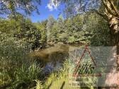 Teichanlage - 
