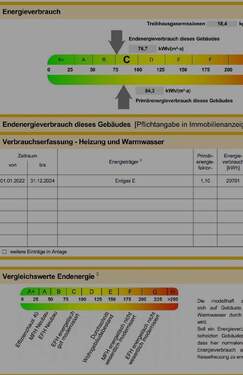 36b5c792-b6dc-4dc2-bc85-eb684da7114b.JPG - 