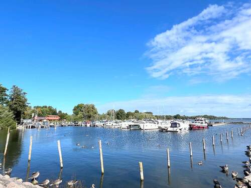 kleiner Hafen in Klink - 2 Zimmer Etagenwohnung in Klink
