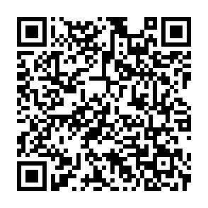 QR-Code - 