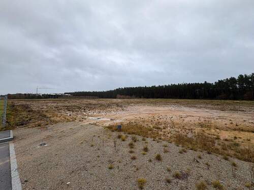 Grundstücksansicht (mit Optionsgrundstück) - Attraktives Industrieareal mit Erweiterungsoption und hoher Planungssicherheit