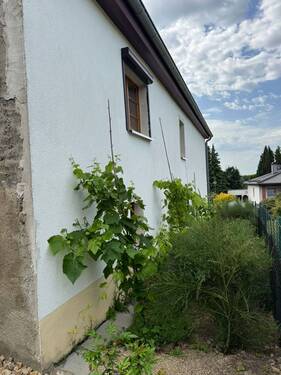 IMG_4968(1) - 