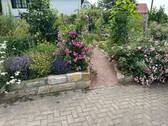 IMG_4974(1) - 