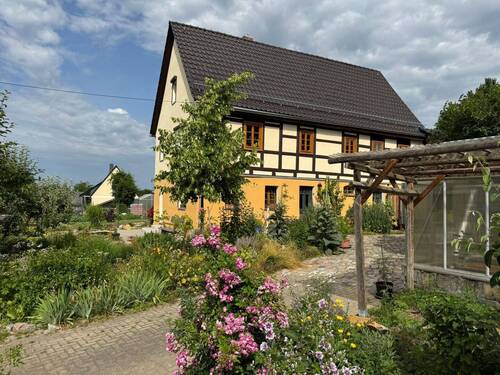 IMG_4955(1) - 