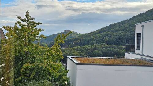 Blick auf Hambacher Schloß.jpg - 6 Zimmer Mehrfamilienhaus, Wohnhaus in Neustadt an der Weinstraße