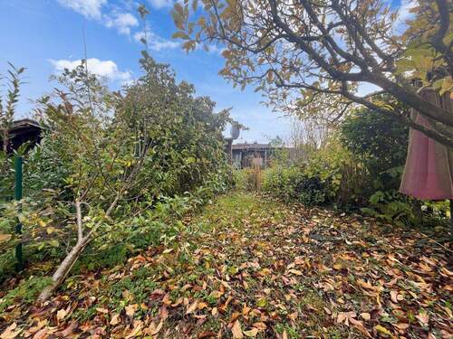 Blick in den Garten - 