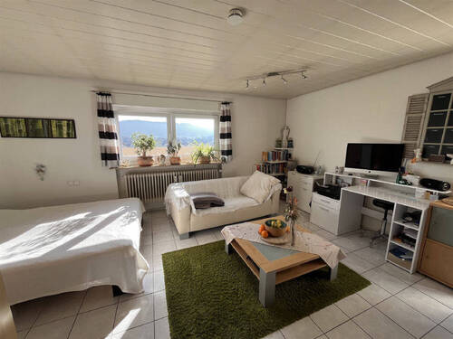 Bild3 - 1 Zimmer Etagenwohnung in Rielasingen-Worblingen