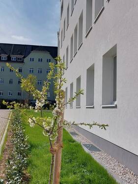 Aussenanlagen - 