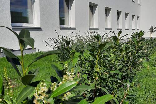Aussenanlagen - 