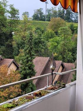 Aussicht auf Rebberg - Sofort bezugsfreie 4 Zimmer-Etagenwohnung in Müllheim