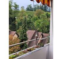 Sofort bezugsfreie 4 Zimmer-Etagenwohnung in Müllheim